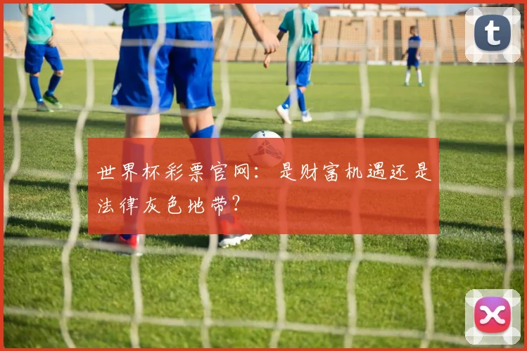世界杯彩票官网:是财富机遇还是法律灰色地带?