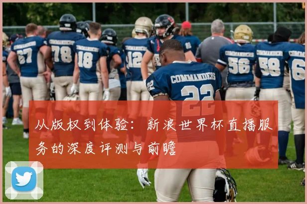 从版权到体验:新浪世界杯直播服务的深度评测与前瞻