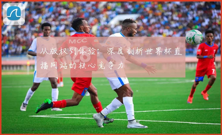 从版权到体验:深度剖析世界杯直播网站的核心竞争力